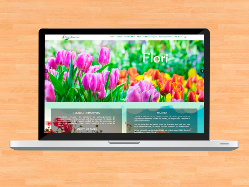 Blog de flores